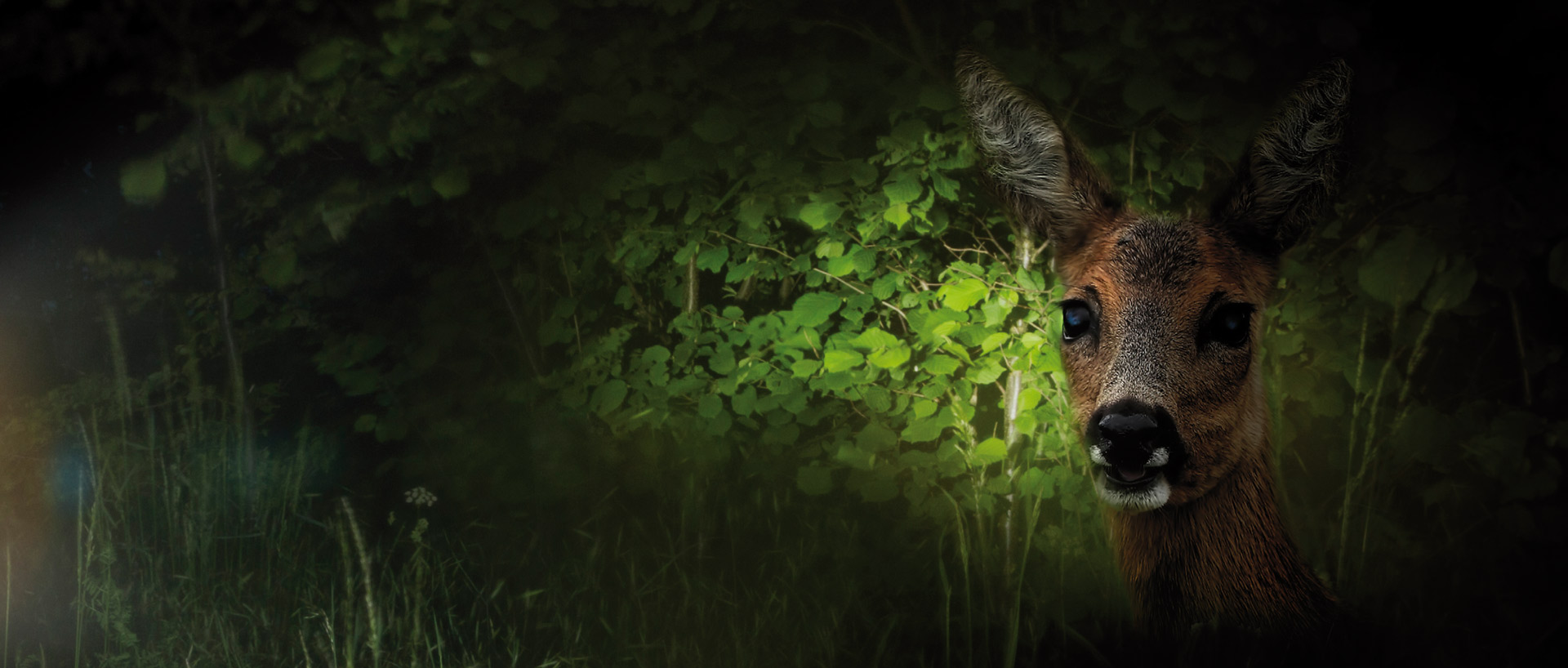 Wildtiere Warnreflektor - hohe Lichtreflexe in das Gelände zu schicken